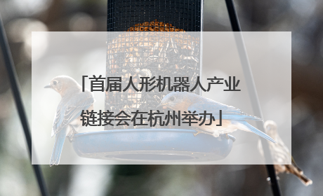 首届人形机器人产业链接会在杭州举办