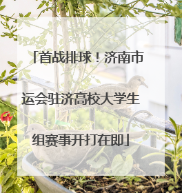 首战排球！济南市运会驻济高校大学生组赛事开打在即