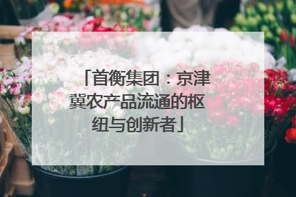 首衡集团：京津冀农产品流通的枢纽与创新者