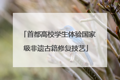 首都高校学生体验国家级非遗古籍修复技艺