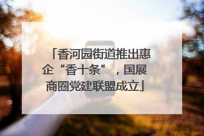 香河园街道推出惠企“香十条”，国展商圈党建联盟成立