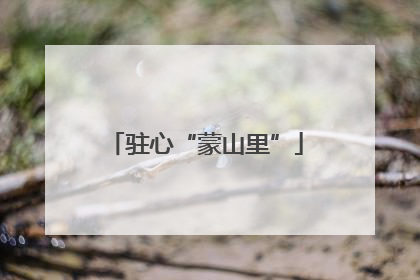 驻心“蒙山里”