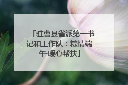 驻曹县省派第一书记和工作队：粽情端午·暖心帮扶