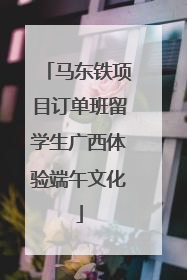 马东铁项目订单班留学生广西体验端午文化