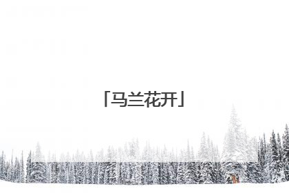 马兰花开