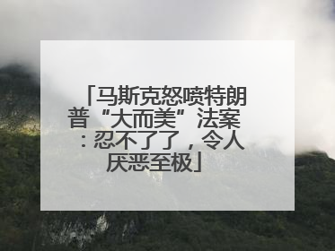 马斯克怒喷特朗普“大而美”法案：忍不了了，令人厌恶至极