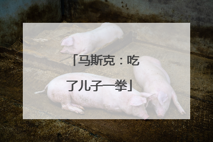 马斯克：吃了儿子一拳