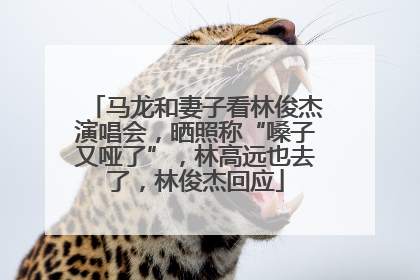 马龙和妻子看林俊杰演唱会，晒照称“嗓子又哑了”，林高远也去了，林俊杰回应