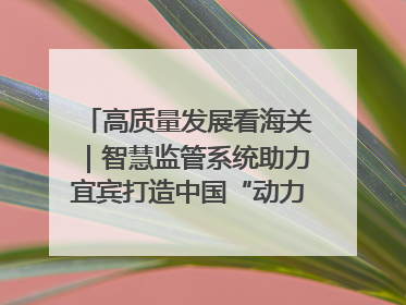 高质量发展看海关｜智慧监管系统助力宜宾打造中国“动力电池之都”