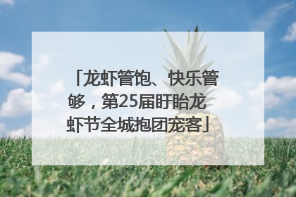 龙虾管饱、快乐管够，第25届盱眙龙虾节全城抱团宠客