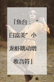 鱼台：“白富美”小龙虾跳动增收音符