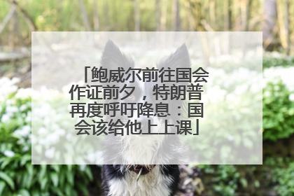 鲍威尔前往国会作证前夕，特朗普再度呼吁降息：国会该给他上上课
