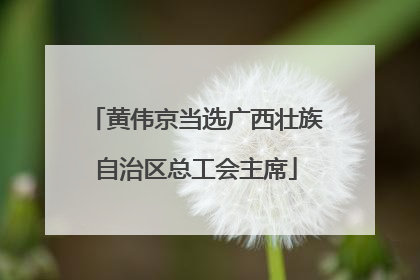 黄伟京当选广西壮族自治区总工会主席
