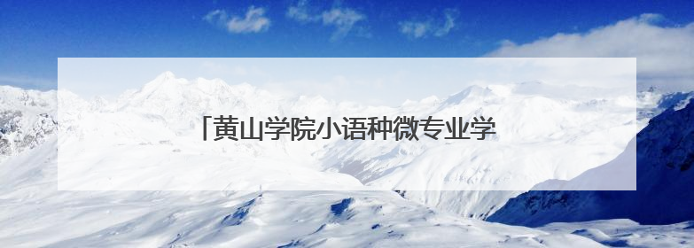 黄山学院小语种微专业学生助力景区外语讲解服务
