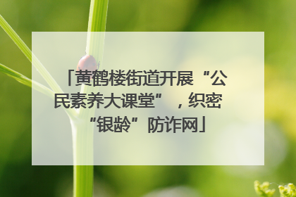 黄鹤楼街道开展“公民素养大课堂”，织密“银龄”防诈网