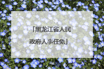 黑龙江省人民政府人事任免