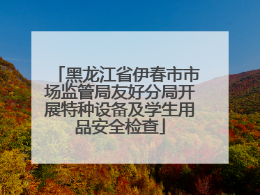 黑龙江省伊春市市场监管局友好分局开展特种设备及学生用品安全检查