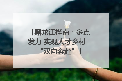 黑龙江桦南：多点发力 实现人才乡村“双向奔赴”