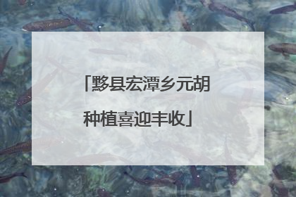 黟县宏潭乡元胡种植喜迎丰收