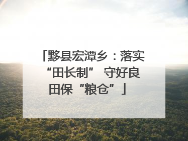 黟县宏潭乡：落实“田长制” 守好良田保“粮仓”