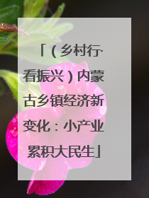 （乡村行·看振兴）内蒙古乡镇经济新变化：小产业累积大民生