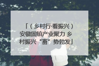 （乡村行·看振兴）安徽固镇产业聚力 乡村振兴“畜”势勃发