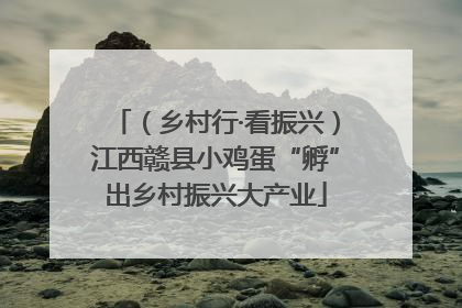 （乡村行·看振兴）江西赣县小鸡蛋“孵”出乡村振兴大产业