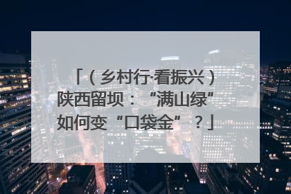 （乡村行·看振兴）陕西留坝：“满山绿”如何变“口袋金”？