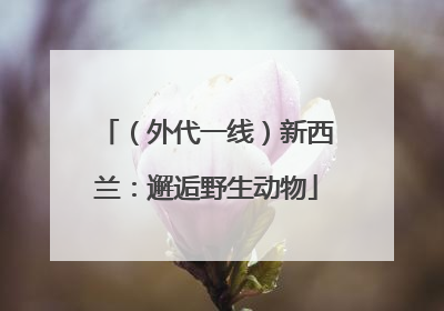 （外代一线）新西兰：邂逅野生动物