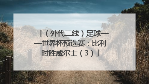 （外代二线）足球——世界杯预选赛：比利时胜威尔士（3）