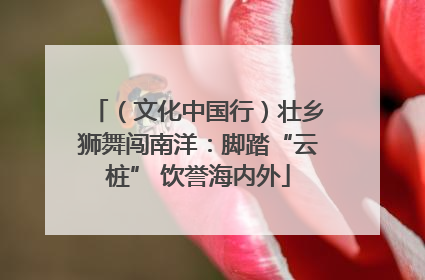 （文化中国行）壮乡狮舞闯南洋：脚踏“云桩” 饮誉海内外