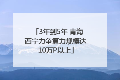 3年到5年 青海西宁力争算力规模达10万P以上