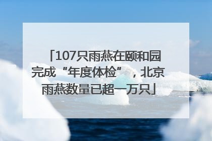 107只雨燕在颐和园完成“年度体检”，北京雨燕数量已超一万只