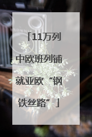 11万列中欧班列铺就亚欧“钢铁丝路”