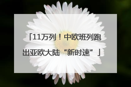 11万列！中欧班列跑出亚欧大陆“新时速”