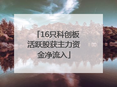 16只科创板活跃股获主力资金净流入