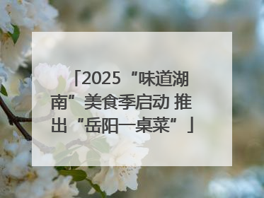 2025“味道湖南”美食季启动 推出“岳阳一桌菜”