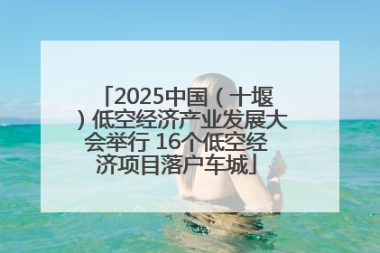 2025中国（十堰）低空经济产业发展大会举行 16个低空经济项目落户车城