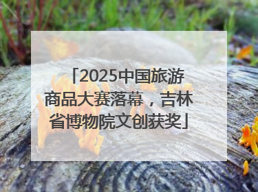 2025中国旅游商品大赛落幕，吉林省博物院文创获奖