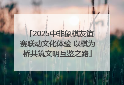 2025中非象棋友谊赛联动文化体验 以棋为桥共筑文明互鉴之路