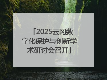 2025云冈数字化保护与创新学术研讨会召开
