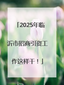2025年临沂市招商引资工作这样干！