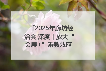 2025年廊坊经洽会·深度｜放大“会展+”乘数效应 打造消费新场景