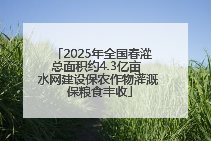 2025年全国春灌总面积约4.3亿亩 水网建设保农作物灌溉 保粮食丰收
