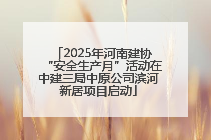 2025年河南建协“安全生产月”活动在中建三局中原公司滨河新居项目启动