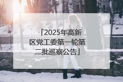 2025年高新区党工委第一轮第二批巡察公告