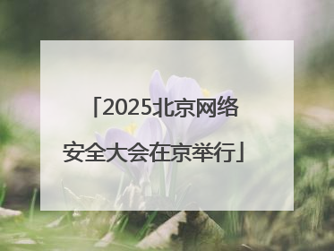 2025北京网络安全大会在京举行