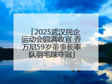 2025武汉民企运动会圆满收官 乔万尼59岁董事长率队羽毛球夺冠