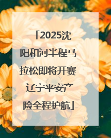2025沈阳和河半程马拉松即将开赛 辽宁平安产险全程护航