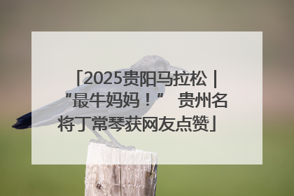 2025贵阳马拉松｜“最牛妈妈！” 贵州名将丁常琴获网友点赞